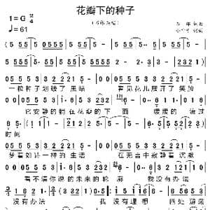 花瓣下的种子_歌曲简谱_词曲:刀郎 刀郎