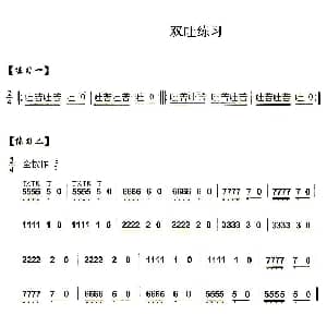 葫芦丝谱 | 葫芦丝技巧练习之十 多吐音练习