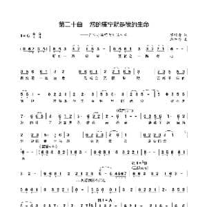 第二十曲您的康宁就是我的生命_歌谱投稿_词曲:廖时香 韩万斋