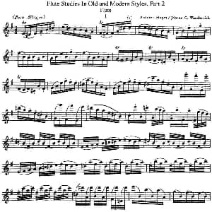 长笛曲谱 | 斯勒新老风格长笛练习重奏曲 第二部分 NO.1 NO.2 Siegfried Thiele S. 斯勒