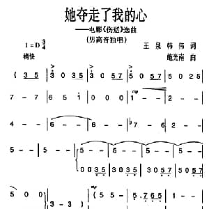 她夺走了我的心_美声唱法乐谱_词曲:王泉 韩伟 施光南
