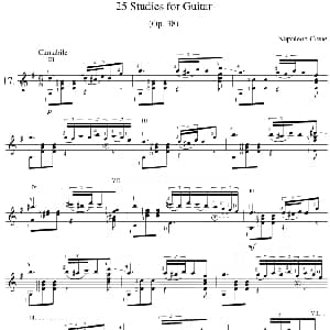 Napoleon Coste 25 Studies,Op.38 吉他谱