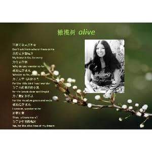 橄榄树_歌曲简谱_词曲:三 毛 李泰祥 任 策 编合唱