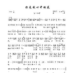 你是我心中的花_歌曲简谱_词曲:徐晓岚 王国雄 姜山