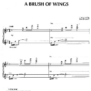 A Brush Of Wings 钢琴谱 美 大卫 兰兹 David Lanz