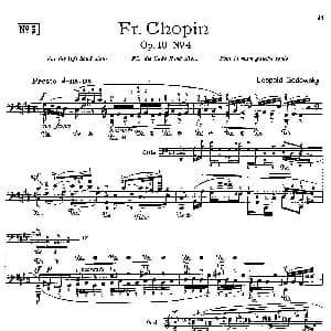 53首改编练习曲 钢琴谱 里奥鲍尔德 戈多夫斯基