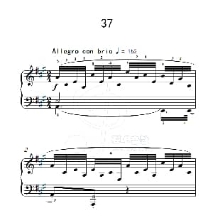 练习曲 37 钢琴谱