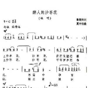 醉人的沙枣花_民歌简谱_词曲:鲁淑然 夏中汤