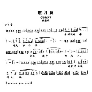 敦煌曲子戏 硬月调 老换少 店家唱段