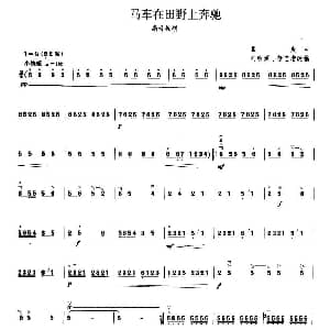 马车在田野上奔驰 高音板胡 葛炎