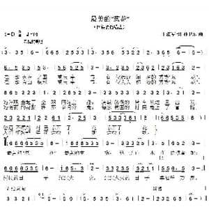 最美的 葱花 _歌曲简谱_词曲:王江军 孙卫东