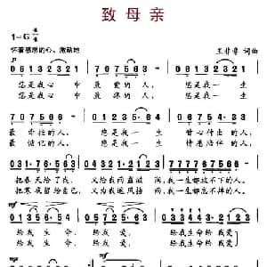 致母亲_通俗唱法乐谱_词曲:王菲菲 王菲菲