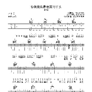 你就是我最想要的丫头 吉他谱 赵照 西安毛毛吉他