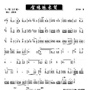 二胡谱 | 金珠玛米赞 二胡谱 王竹林