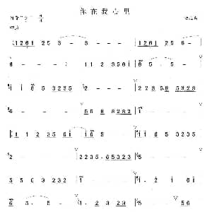 笛子谱 | 你在我心里 汤尼
