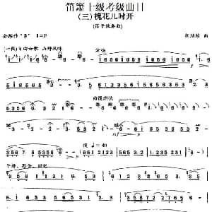 笛箫十级考级曲目 槐花几时开 胡结续