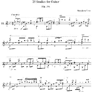 Napoleon Coste 25 Studies,Op.38 吉他谱