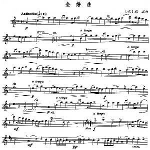 长笛曲谱 | 金婚曲