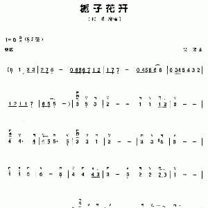 二胡谱 | 栀子花开 吴娈