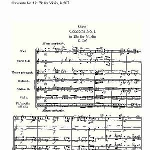 Concerto No.1 in Bb for Violin, K.207 Bb调小提琴第一协奏曲