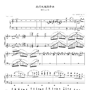 南国玫瑰圆舞曲 钢琴谱 约翰.施特劳斯