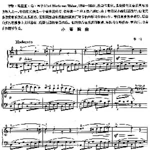小奏鸣曲 钢琴谱