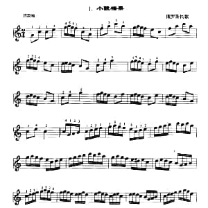 小酸梅果 口风琴谱