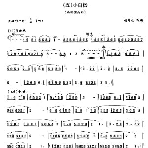 笛子谱 | 小白杨 曲笛 胡结续 改编