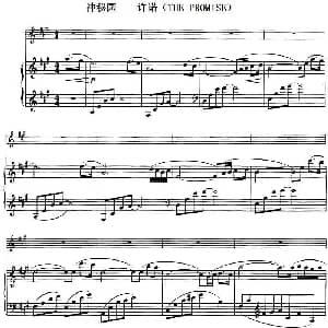 小提琴谱 | 神秘园 许诺 THE PROMISE