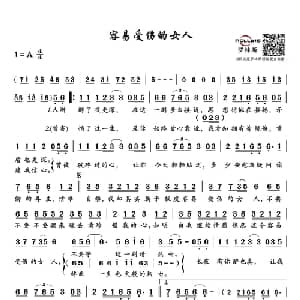 容易受伤的女人_通俗唱法乐谱_词曲:潘源良 中岛美雪