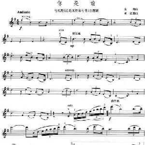小提琴谱 | 你是谁 电视剧 道是无情却有情 主题歌 金湘