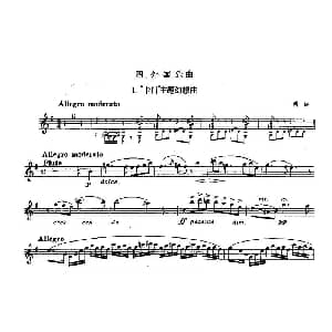 长笛曲谱 | 长笛九级考级曲谱 第四部分—1