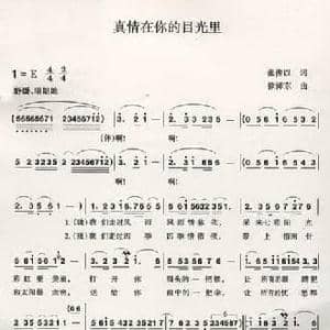 真情在你的目光里_民歌简谱_词曲:张俊以 徐沛东