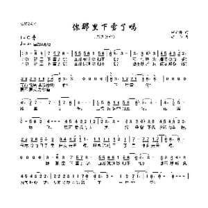 你那里下雪了吗_歌曲简谱_词曲:胡新海 颂今