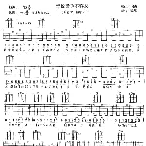 想说爱你不容易 吉他谱 赵江 赵江