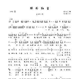 醉卧红尘_歌曲简谱_词曲:吴文胜 小老头