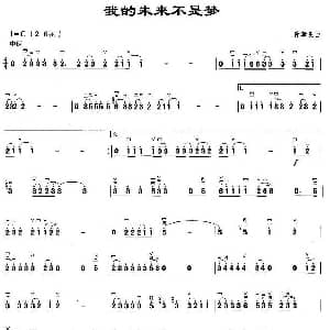 二胡谱 | 我的未来不是梦 翁孝良