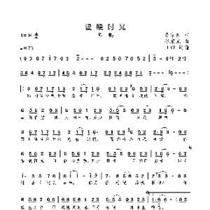 温暖时光_歌曲简谱_词曲:李京东 张宏光