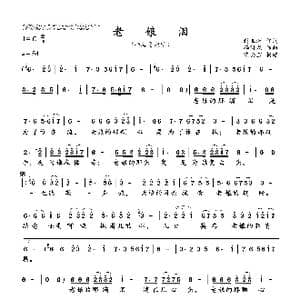 老娘泪_歌曲简谱_词曲:封亚洲 冯海龙
