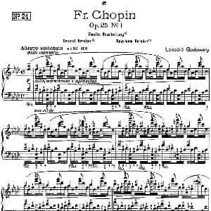 53首改编练习曲 钢琴谱 里奥鲍尔德 戈多夫斯基