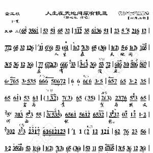 金玉奴 人生在天地间原有俊丑_歌曲简谱_词曲:暂无 恒流星制谱