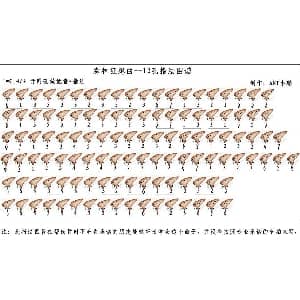 森林狂想曲 12孔陶笛谱