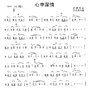 二胡谱 | 心中深情 美国歌曲 林光璇订谱