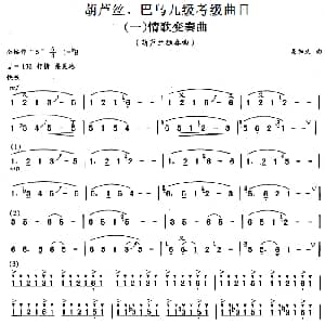 巴乌九级考级曲目 情歌变奏曲 易加义
