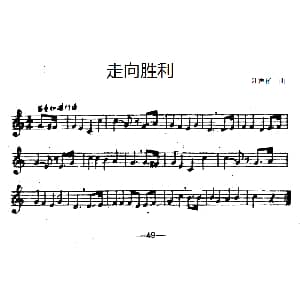 走向胜利 汪声裕