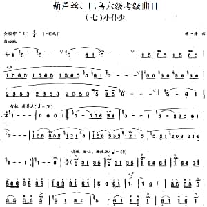 巴乌六级考级曲目 小仆少 杨一丹