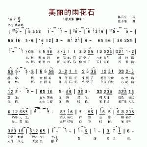 美丽的雨花石_歌谱投稿_词曲:陈云松 杜小苏