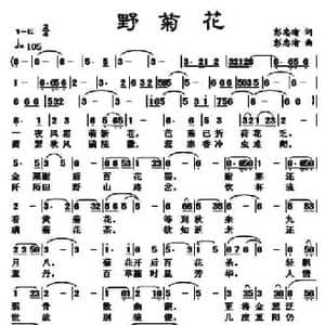 野菊花_民歌简谱_词曲:彭忠瑜 彭忠瑜