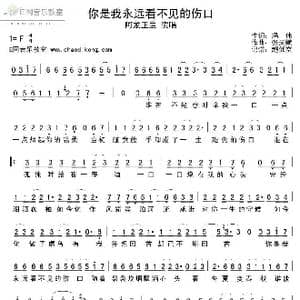 你是我永远看不见的伤口_歌谱投稿_词曲:冯伟 张天赋