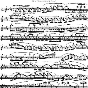 长笛曲谱 | 柯勒30首高级长笛练习曲作品75号 NO.17 Kohler 柯勒